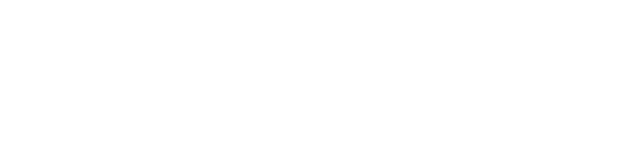 White Mapmaker Consulting logo